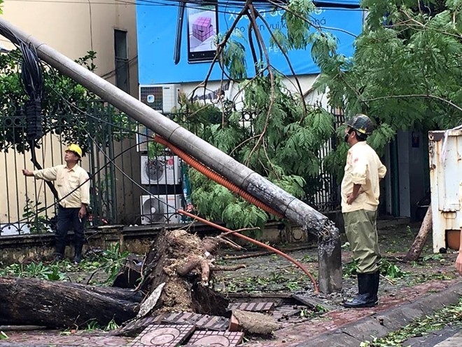 Công tác khắc phục hậu quả cơn bão Mirinae tại các địa phương - ảnh 1